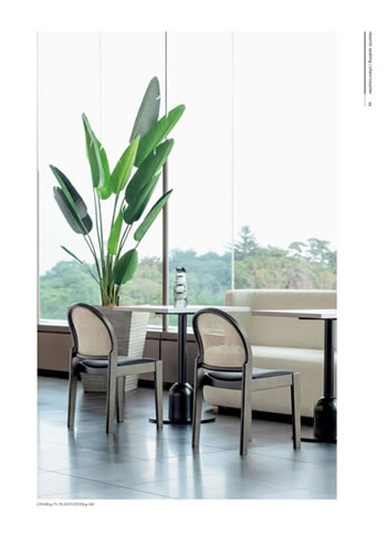 chair/counter