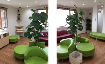 埼玉県　産婦人科クリニック