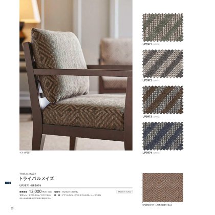 トライバルメイズ