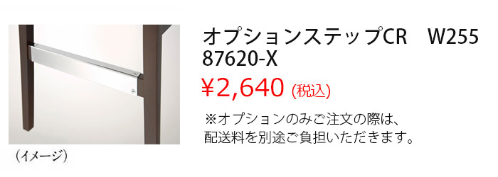 オプションステップ