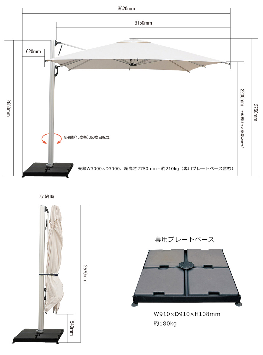 サイズ