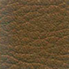 ICO-13
