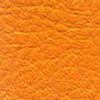 ICO-24