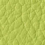 OG/オリーブグリーン