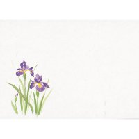 和風テーブルマット 花シリーズ （100枚入） (11-308-13～24)