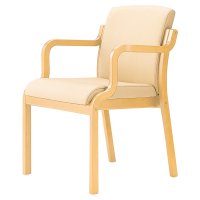 パサールL ローバック