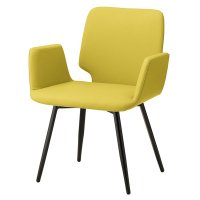 AW BL 張材：布地・D-55(ライムグリーン)