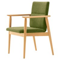 5N 張材：布地・D-19（ライトグリーン）