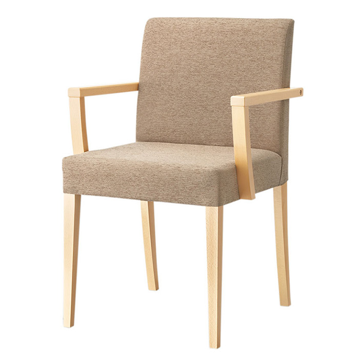 リーブルアームイスⅡA　NA　張地：B/布・オーレ11