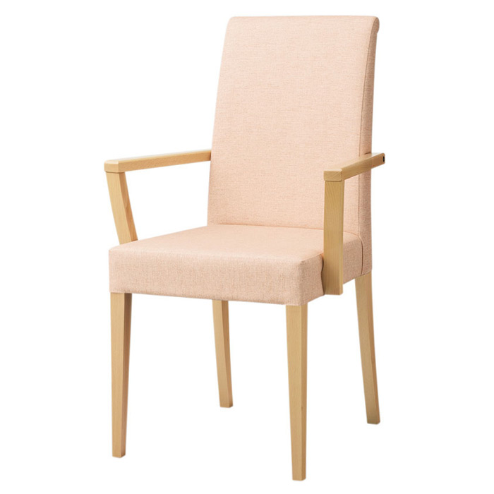 リーブルアームイスC NA 張地：C/レザー・フロワ5