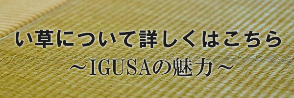 IGUSAの魅力