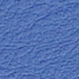 ブルー(ECV-1)