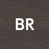 台輪カラーBR