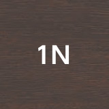 1N