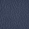 C・オールマイティL-6646