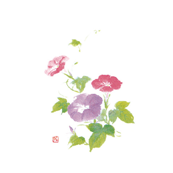 朝顔